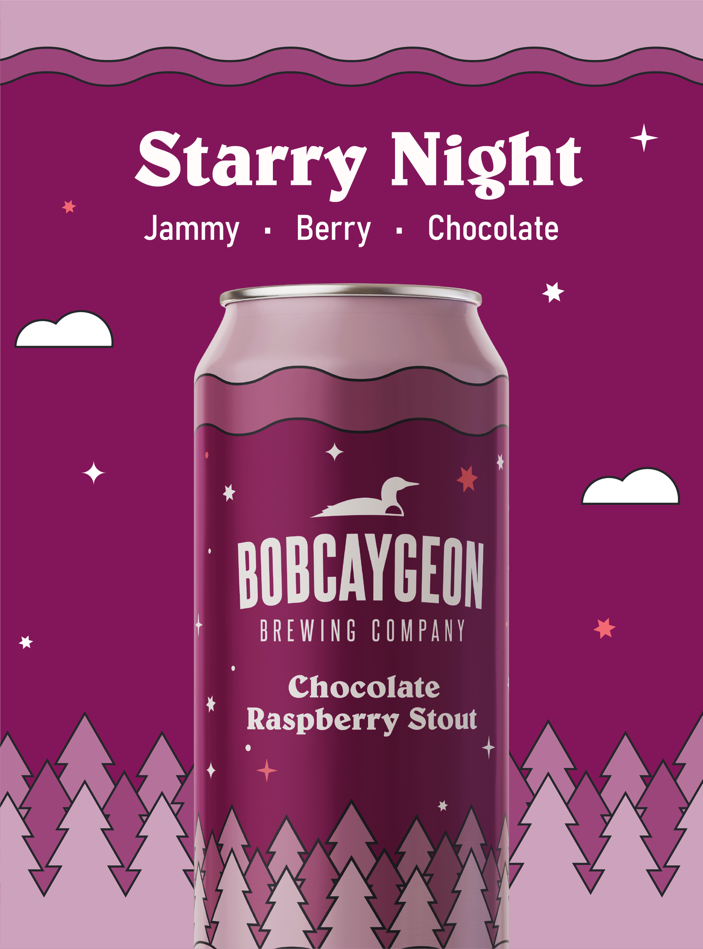 Starry Night: Chocolate Raspberry Stout