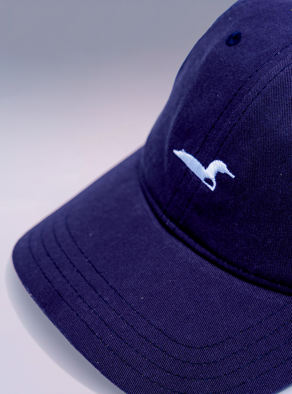 Dad Hat - Unstructured Six Panel