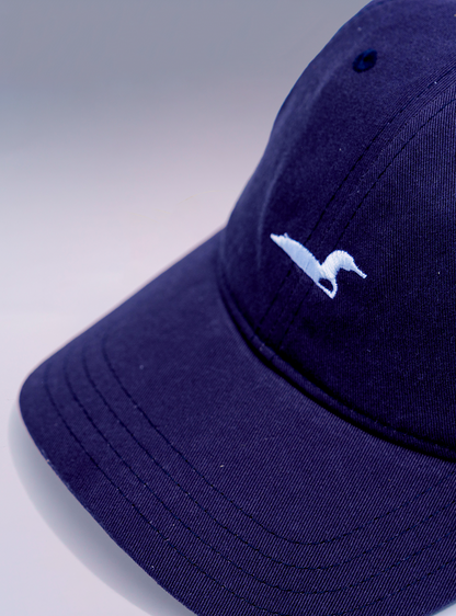 Dad Hat - Unstructured Six Panel